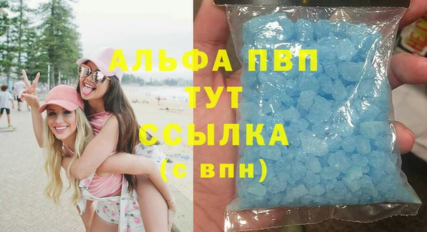 шишки Тайга
