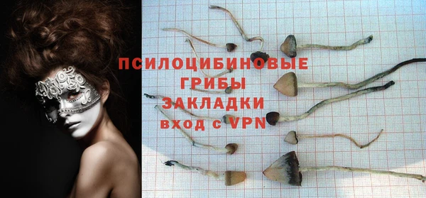 хмурый Армянск