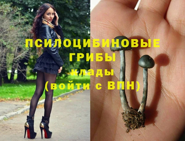 дживик Аркадак