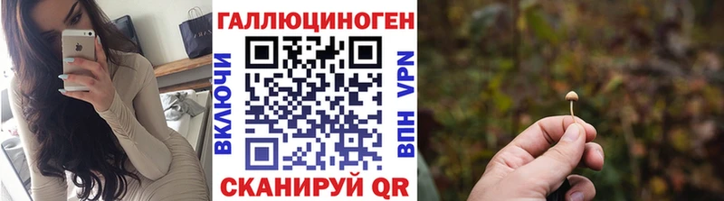 Псилоцибиновые грибы MAGIC MUSHROOMS  ОМГ ОМГ сайт  Красноярск  дарнет шоп 